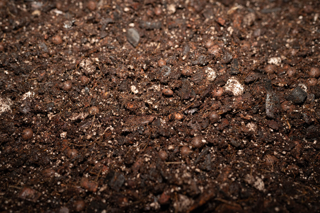 cultivary core substrate