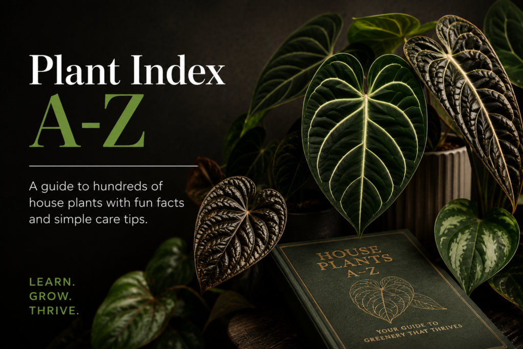 plant index a z