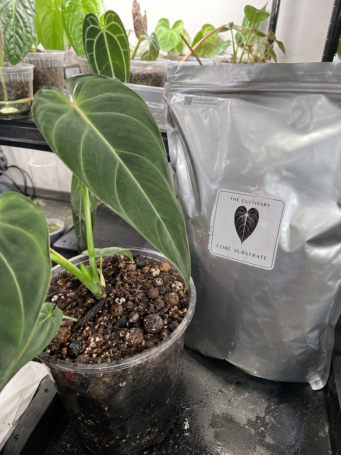 small batch grower excellent soil purchase review